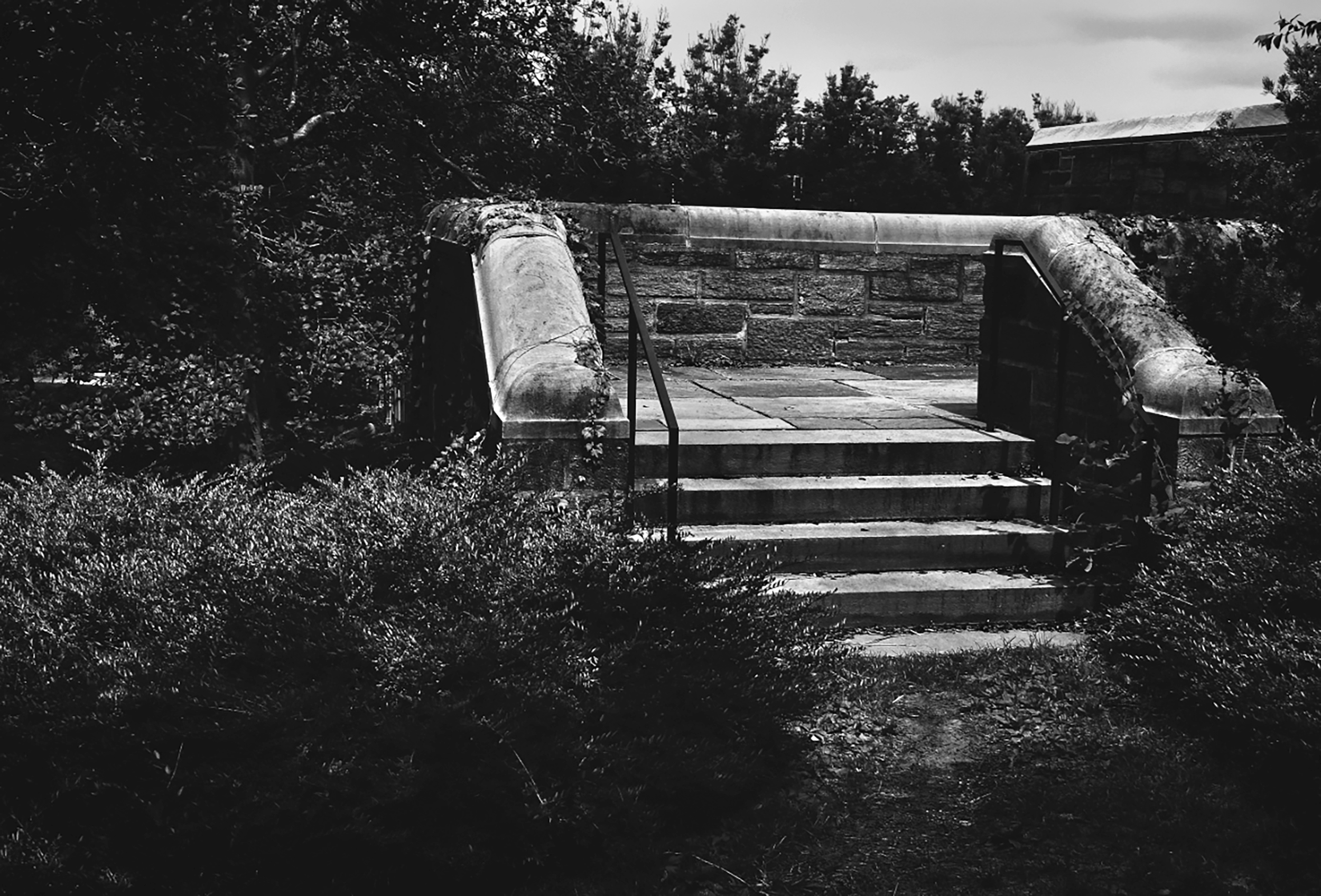 Sanctuary